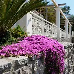 Apartament Belvedere Stunning Sea View *