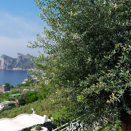 Belvedere Stunning Sea View Apartament Nerano