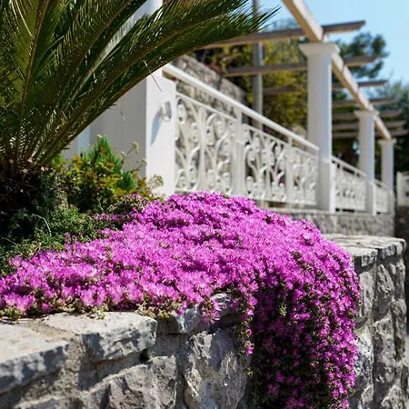 Apartmán Belvedere Stunning Sea View *